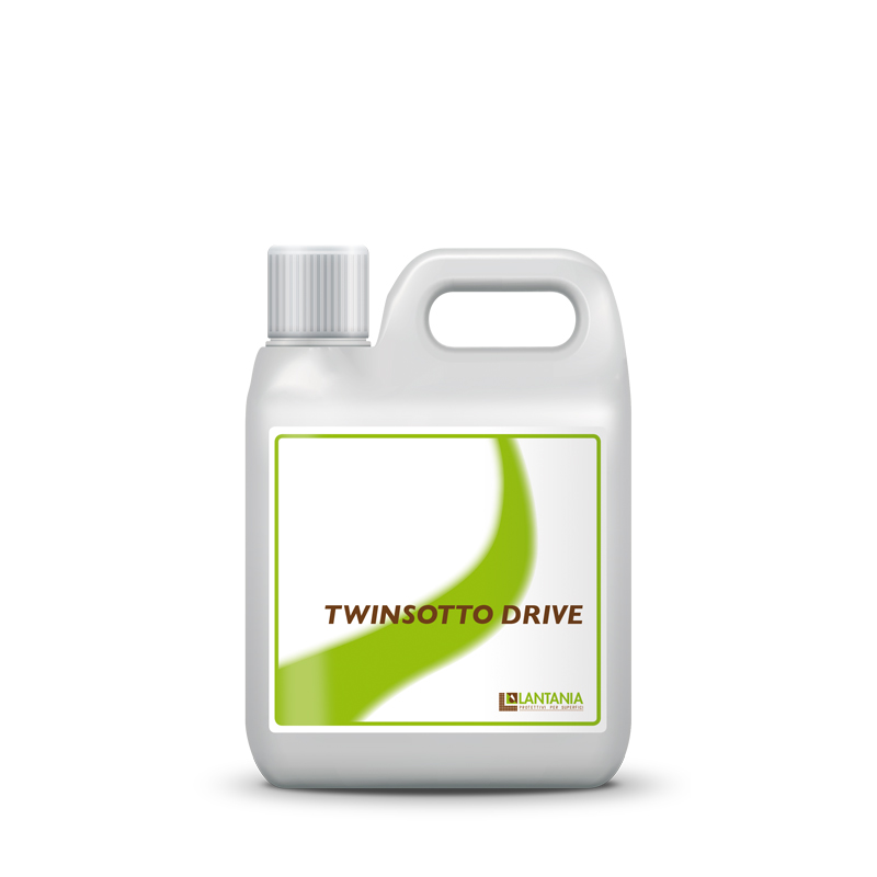 TWINSOTTO DRIVE
